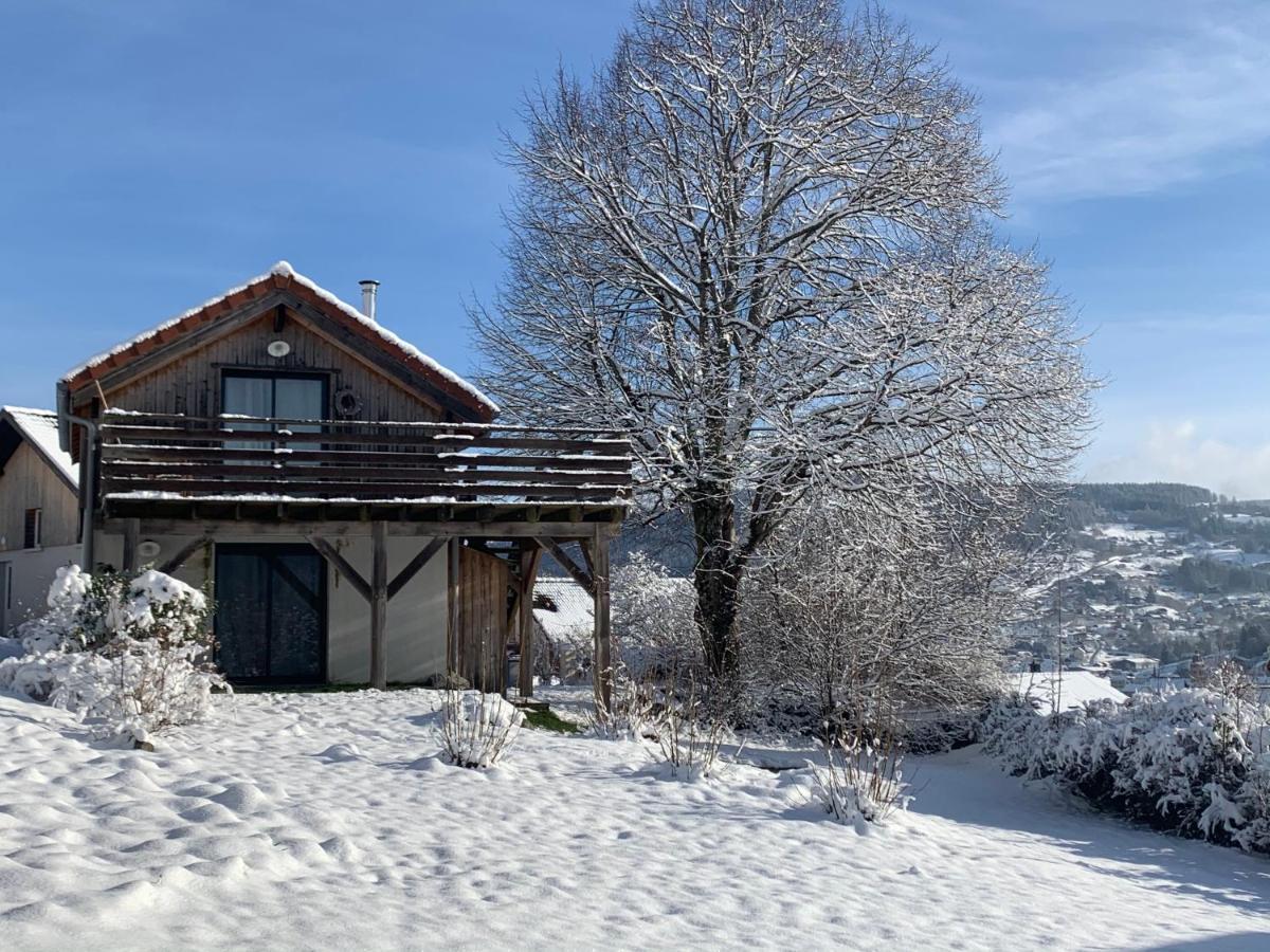 Le Chalet De Juliette Gerardmer Ngoại thất bức ảnh