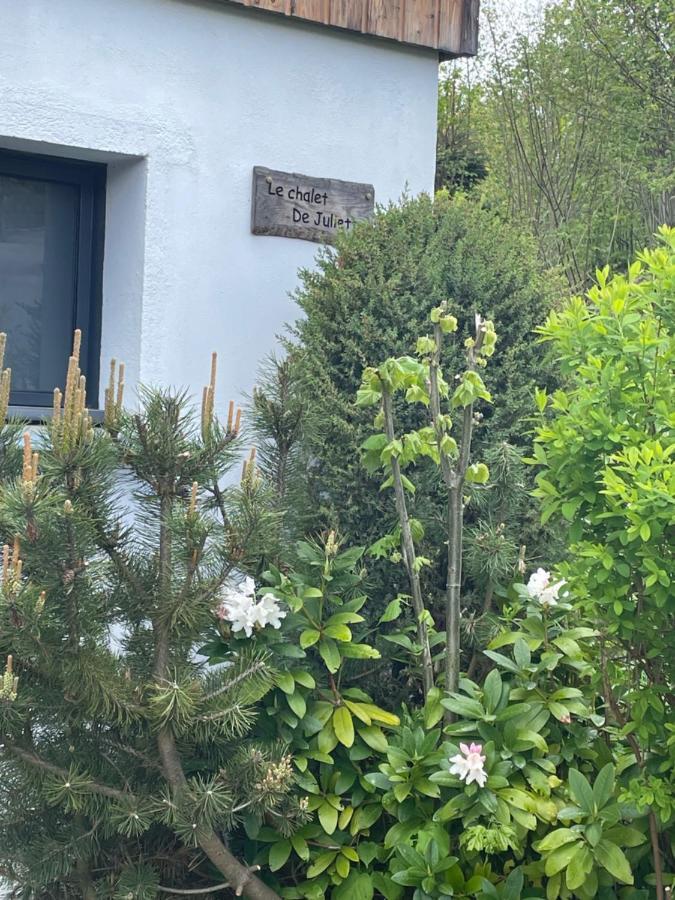 Le Chalet De Juliette Gerardmer Ngoại thất bức ảnh