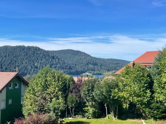 Le Chalet De Juliette Gerardmer Ngoại thất bức ảnh
